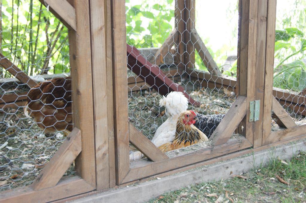 Bed and Breakfast La Belle Aux Berges Saint-Denis-sur-Richelieu Esterno foto