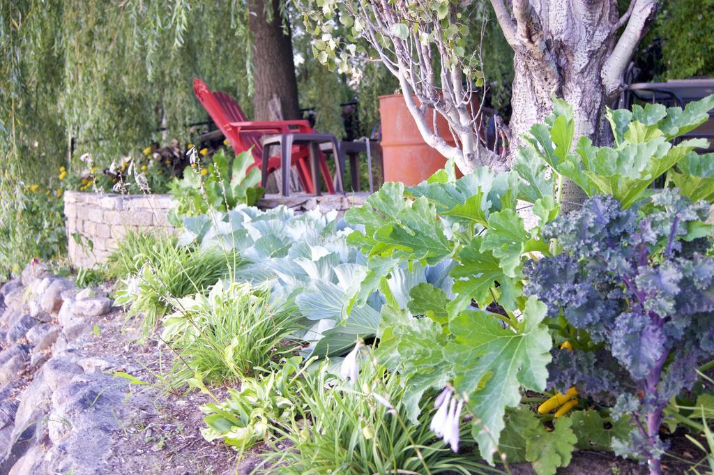 Bed and Breakfast La Belle Aux Berges Saint-Denis-sur-Richelieu Esterno foto