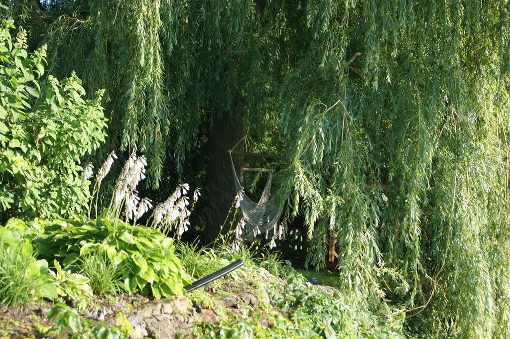 Bed and Breakfast La Belle Aux Berges Saint-Denis-sur-Richelieu Esterno foto