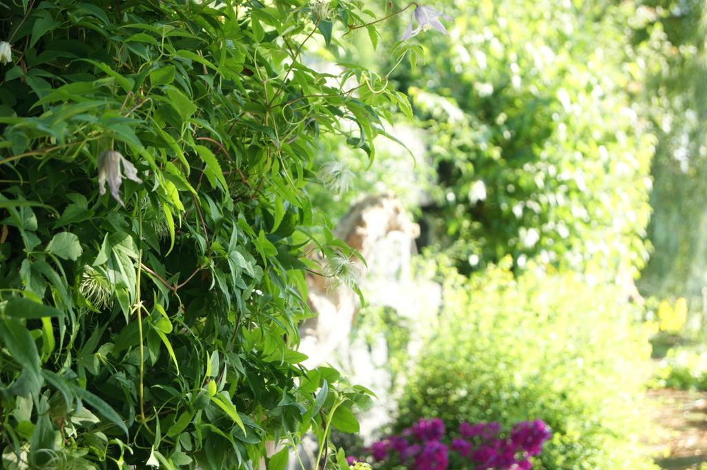 Bed and Breakfast La Belle Aux Berges Saint-Denis-sur-Richelieu Esterno foto