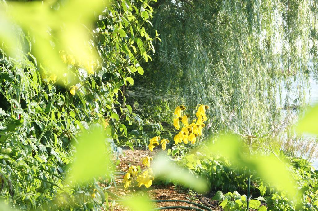 Bed and Breakfast La Belle Aux Berges Saint-Denis-sur-Richelieu Esterno foto